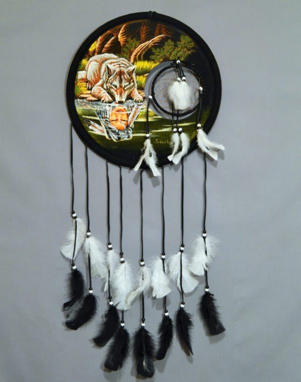 Velvet Dream Catcher Shield Reflection