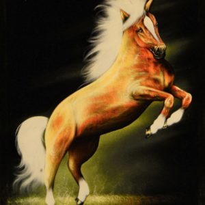 Velvet Painting Horse
