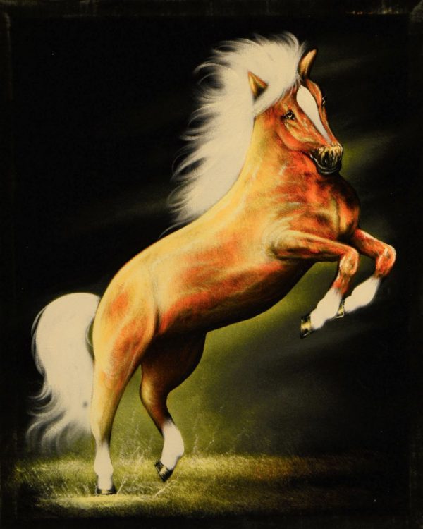 Velvet Painting Horse