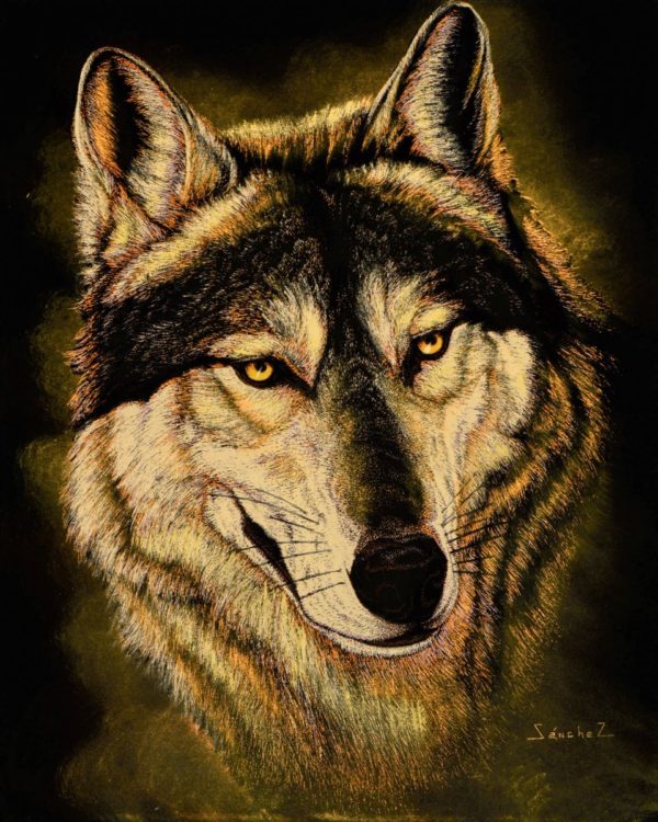 Velvet Painting Wolf Face