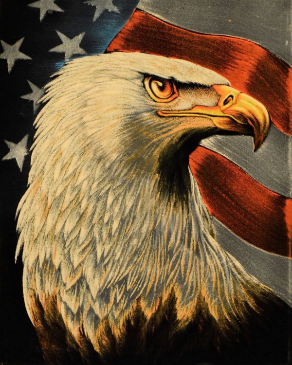 Velvet Painting American Eagle