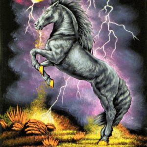 Velvet Painting Thunder Horse