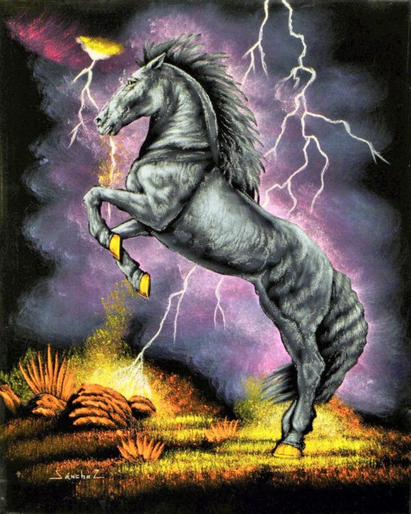 Velvet Painting Thunder Horse