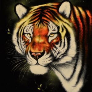 Velvet Painting Tiger Face