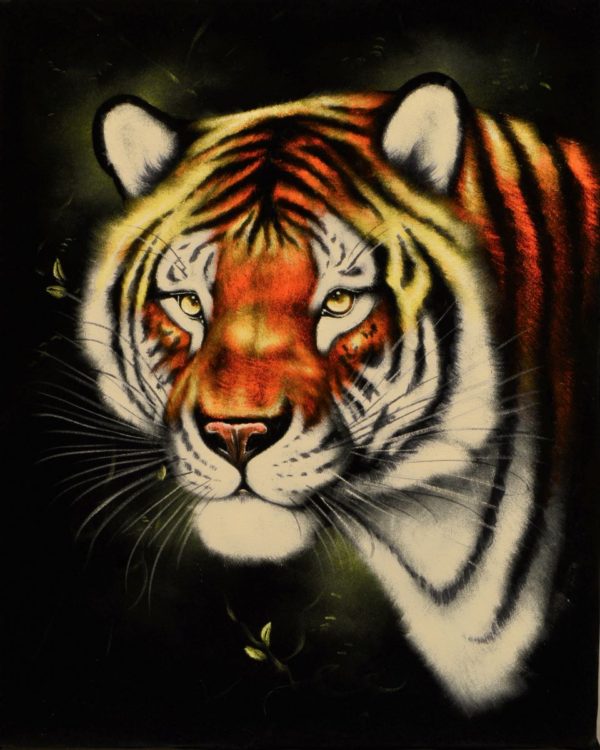 Velvet Painting Tiger Face