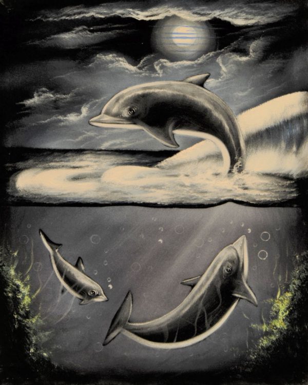 Velvet Painting Dolphins