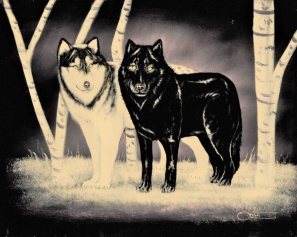 Velvet Painting Black and White Wolves