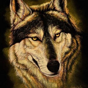 Velvet-Painting-Wolf-Face