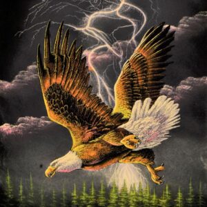 Velvet-Painting-Thunder-Eagle