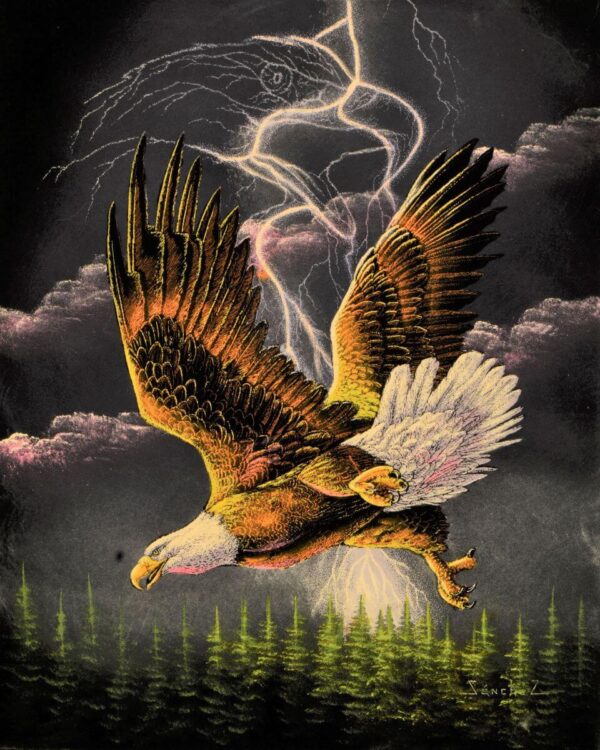 Velvet-Painting-Thunder-Eagle
