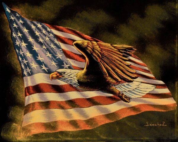 Velvet-Painting-Flying-American-Eagle